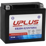 71uemN80xL._AC_SL1500_.jpg